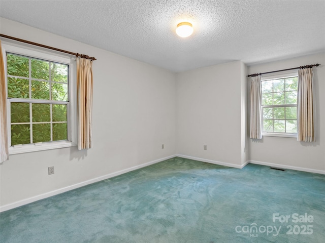 416 Hunters Glen Ln, Hendersonville, NC 28739 - unfurnished room featuring carpet floors, baseboards, a textured ceiling, and visible vents