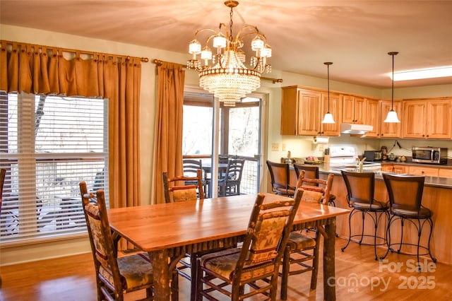 dining room with a notable chandelier and light hardwood / wood-style flooring