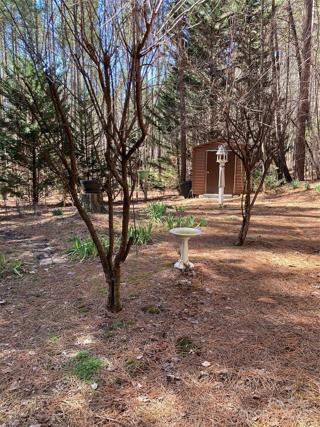 view of yard with an outdoor structure and a shed