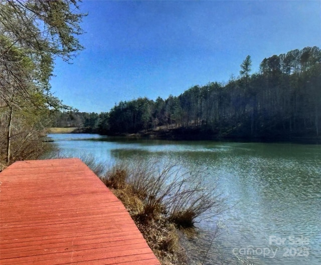 view of dock with a water view and a view of trees