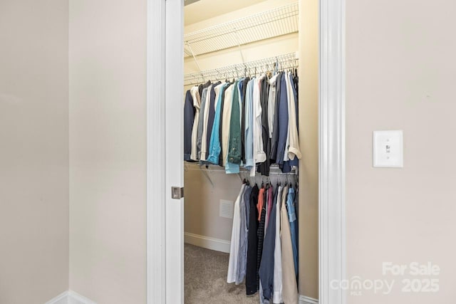 view of closet