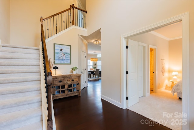 interior space featuring ornamental molding, dark hardwood / wood-style floors, and a high ceiling