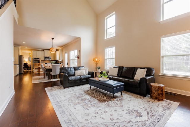 living room with dark hardwood / wood-style flooring and a towering ceiling