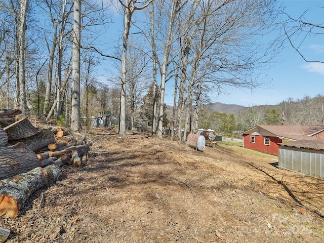 view of yard featuring an outdoor structure