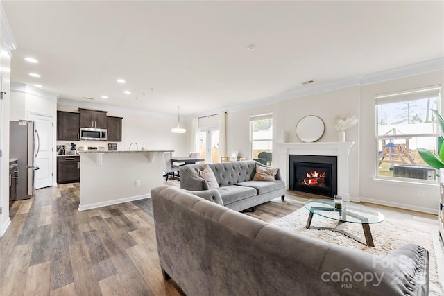 living room featuring crown molding, a wealth of natural light, and wood-type flooring