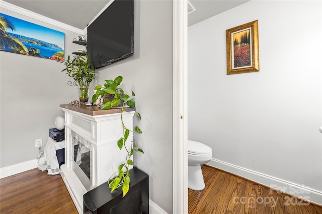 bathroom with hardwood / wood-style flooring, a premium fireplace, and toilet