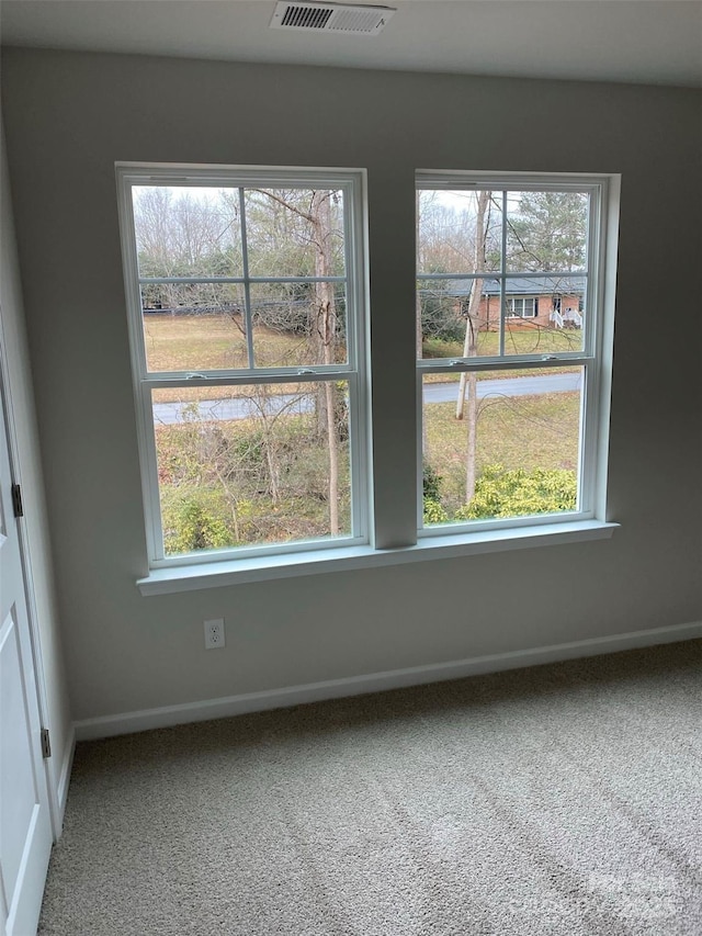 interior space featuring carpet floors and a wealth of natural light