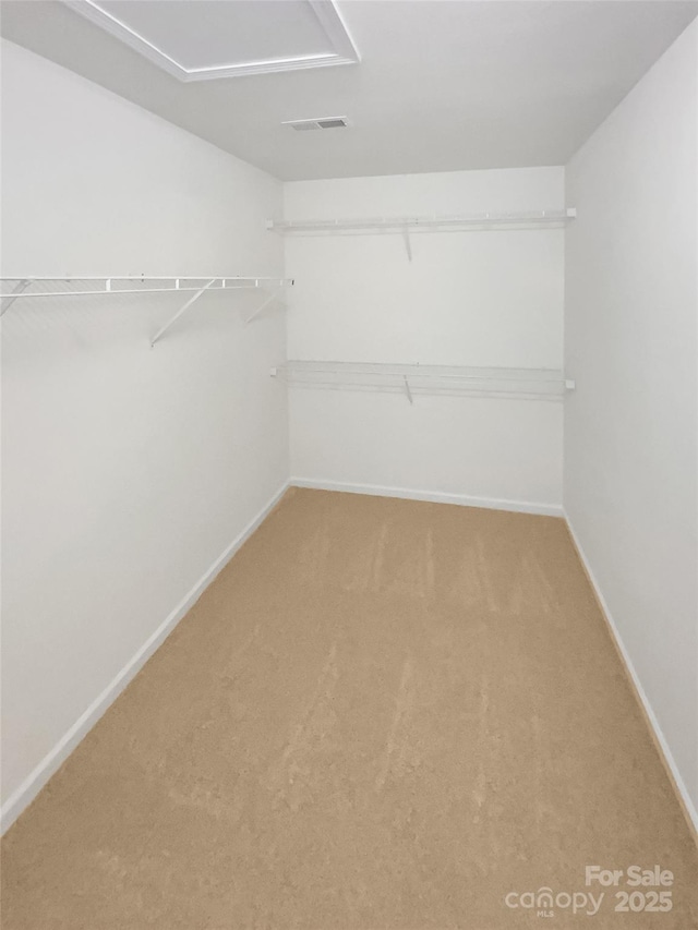 spacious closet with carpet