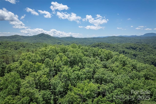 TBD Girl Scout Camp Rd, Brevard NC, 28712 land for sale