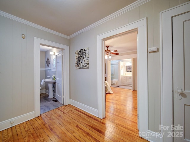 hallway featuring crown molding and light hardwood / wood-style flooring