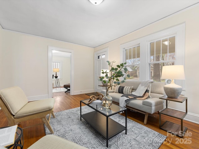 living room featuring hardwood / wood-style floors