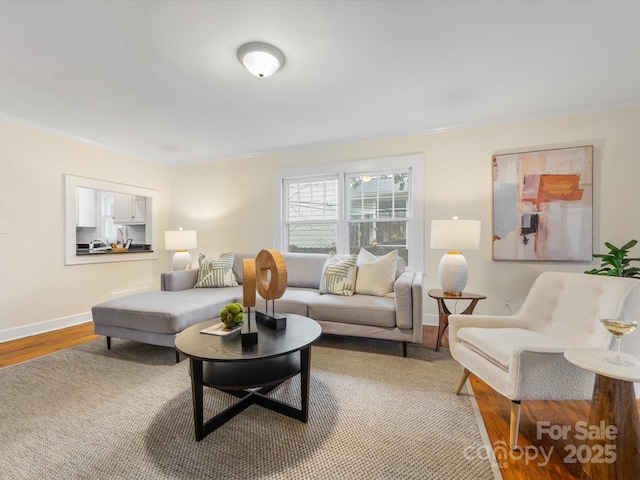 living room with crown molding and wood-type flooring