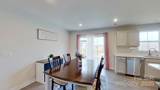 dining room featuring sink, a wealth of natural light, and light wood-type flooring