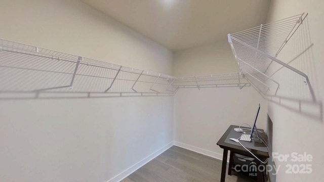 walk in closet featuring hardwood / wood-style flooring