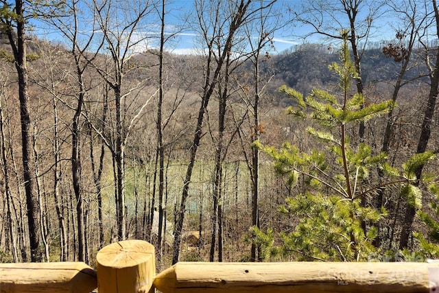 property view of mountains