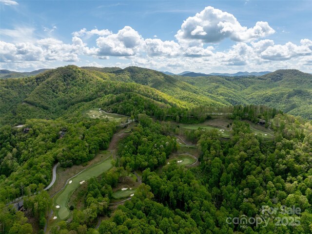 142 Allspice Ct, Tuckasegee, NC 28783 - drone / aerial view of a mountain backdrop and a heavily wooded area