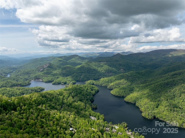 142 Allspice Ct, Tuckasegee, NC 28783 - bird's eye view of a water and mountain view and a forest