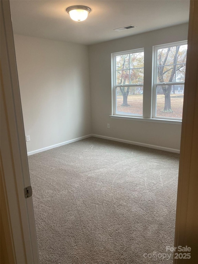 spare room with plenty of natural light and carpet flooring