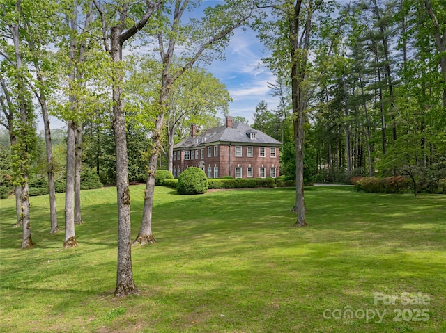 407 Vanderbilt Rd, Asheville, NC 28803 - view of yard