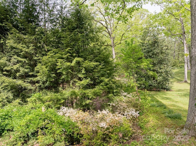 407 Vanderbilt Rd, Asheville, NC 28803 - view of nature featuring a forest view