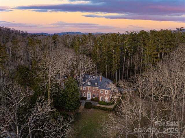 407 Vanderbilt Rd, Asheville, NC 28803 - aerial view at dusk with a forest view
