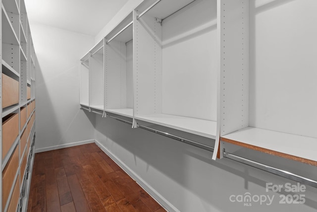 walk in closet featuring dark wood-style flooring