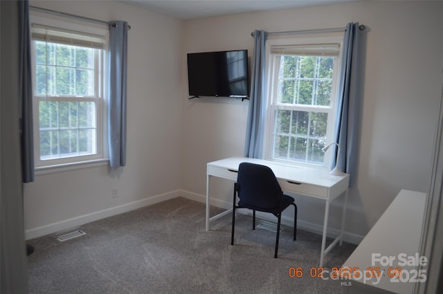 office space with a wealth of natural light and carpet floors