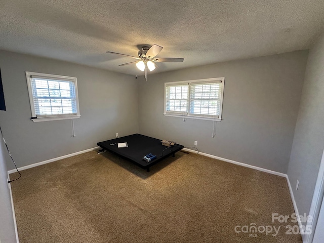 workout area with plenty of natural light, carpet flooring, a textured ceiling, and ceiling fan