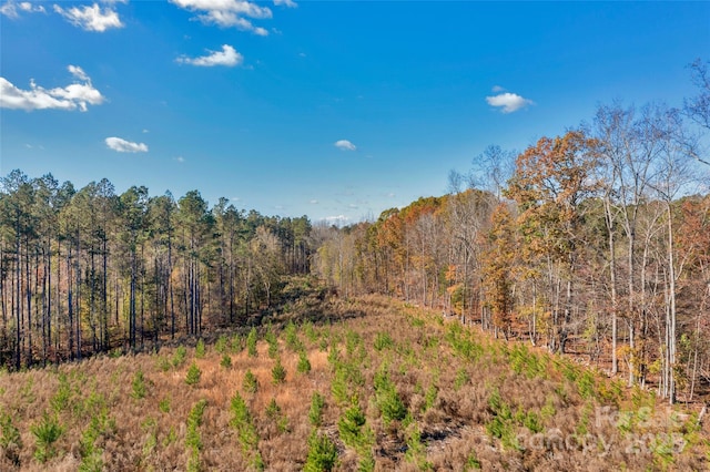 Listing photo 2 for 0000 Beaker Rd Unit 5, Heath Springs SC 29058