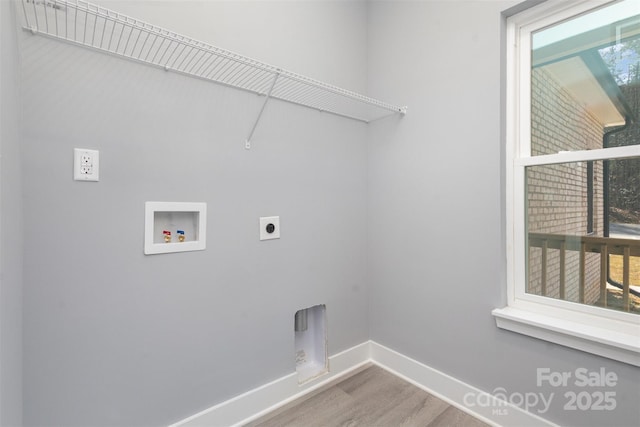 washroom featuring hardwood / wood-style flooring, washer hookup, and electric dryer hookup