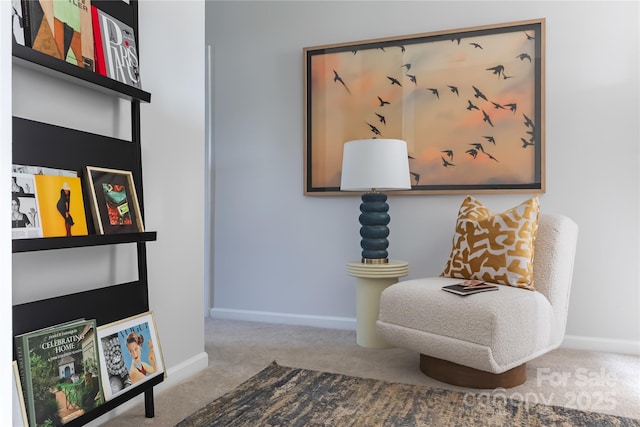 sitting room featuring baseboards and carpet floors