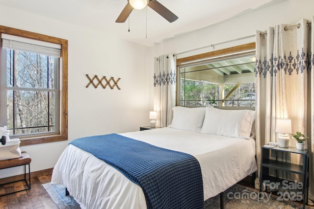 bedroom featuring ceiling fan, dark hardwood / wood-style flooring, and multiple windows