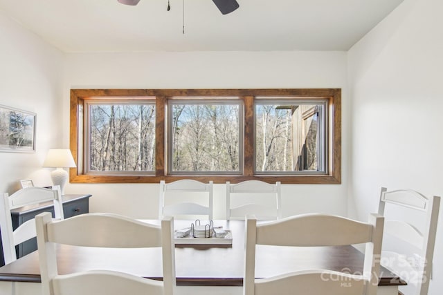 363 Luther Burbank Dr, Lake Lure, NC 28746 - dining area featuring a ceiling fan
