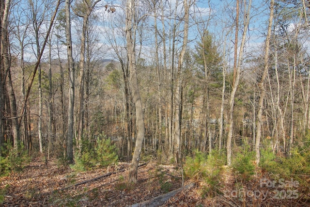 363 Luther Burbank Dr, Lake Lure, NC 28746 - view of wooded area
