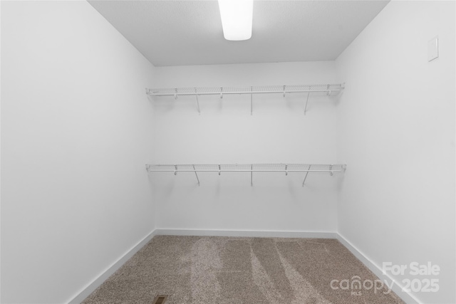 spacious closet featuring carpet