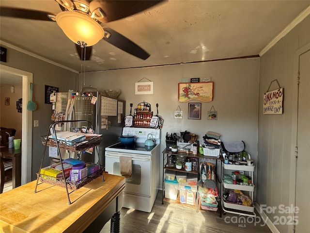 kitchen featuring hardwood / wood-style flooring, ornamental molding, white electric stove, and ceiling fan