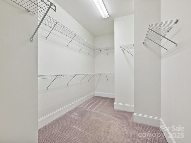 817 Digby Rd, Rock Hill, SC 29730 - photo 29