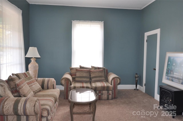 living room with ornamental molding and carpet