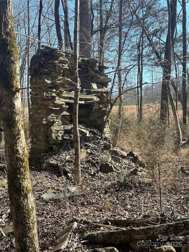 view of local wilderness