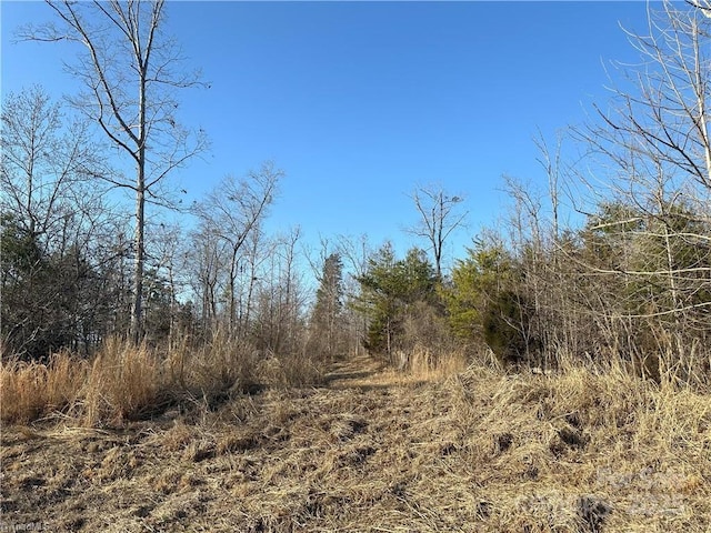 view of landscape