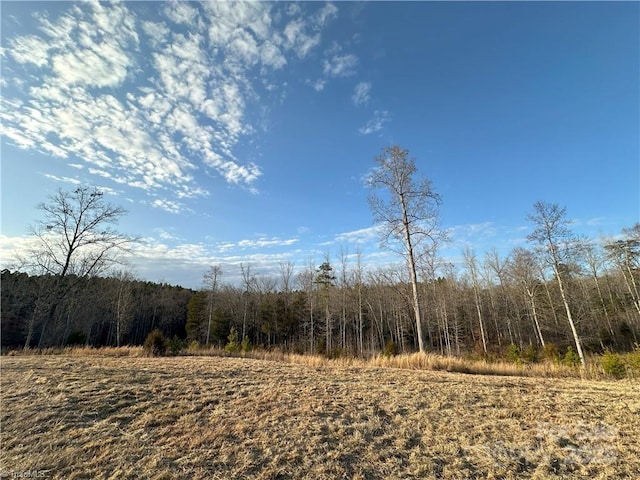 view of local wilderness