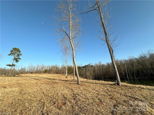 view of local wilderness