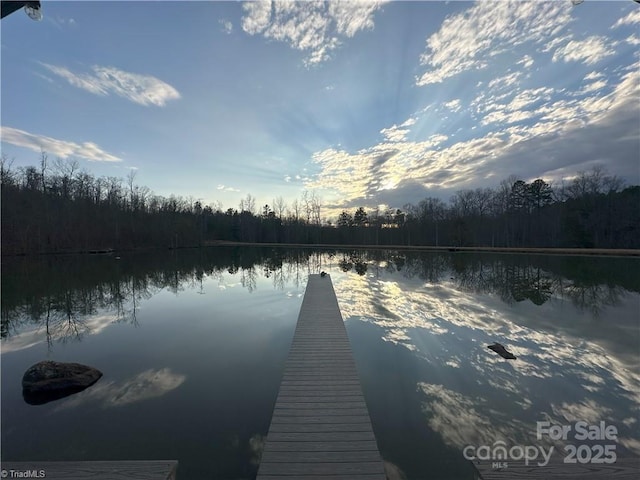 view of dock with a water view