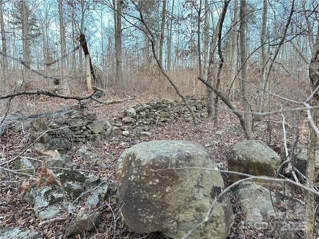 view of local wilderness