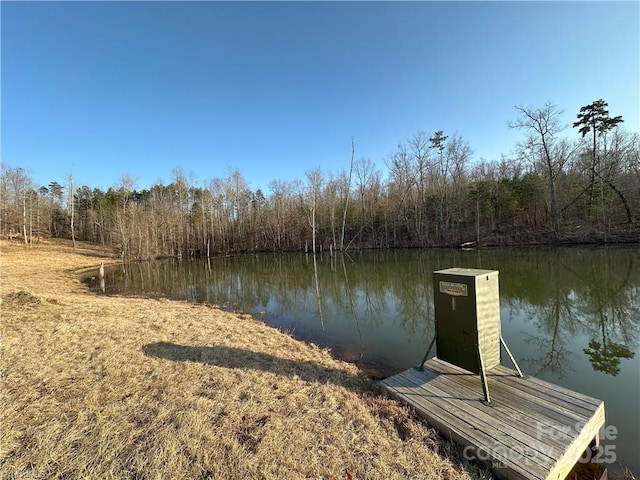 dock area featuring a water view