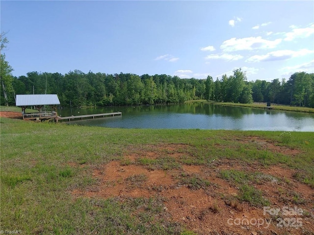 property view of water