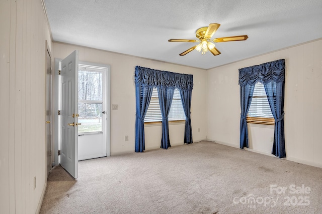 carpeted empty room featuring a healthy amount of sunlight and a textured ceiling