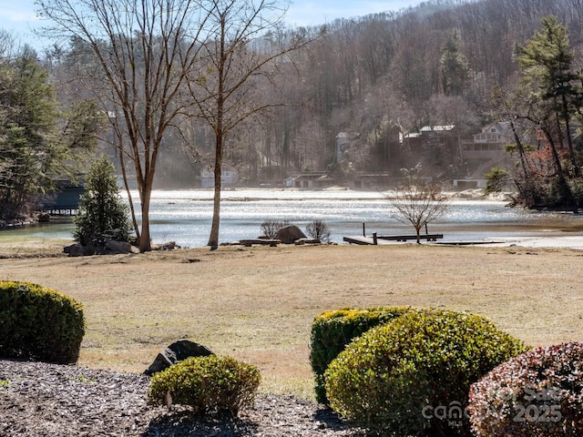 view of yard featuring a water view