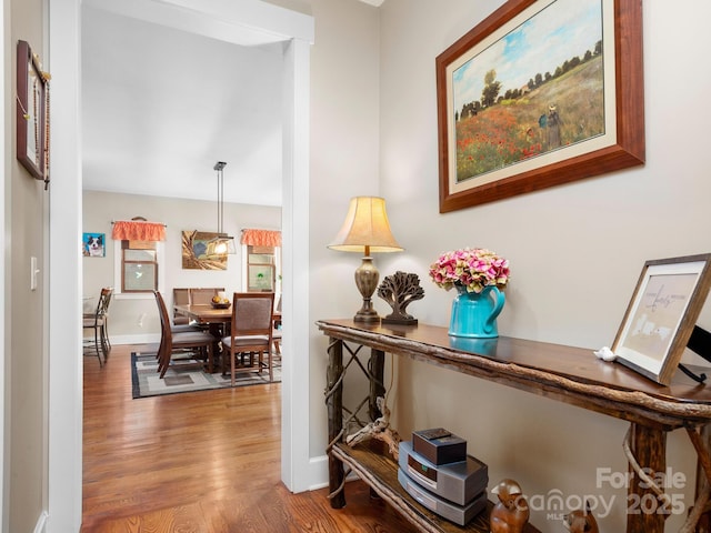 hallway featuring hardwood / wood-style floors