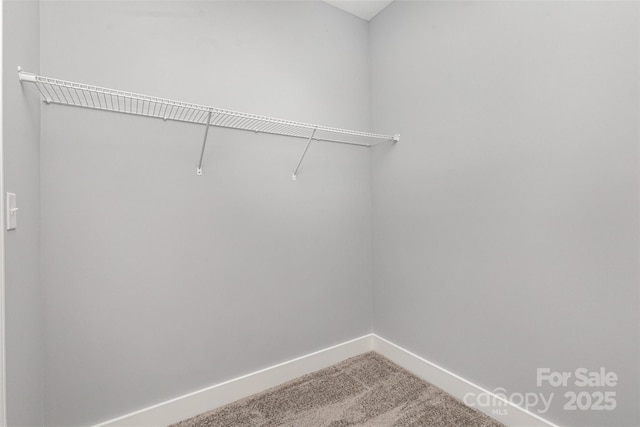 walk in closet featuring light colored carpet